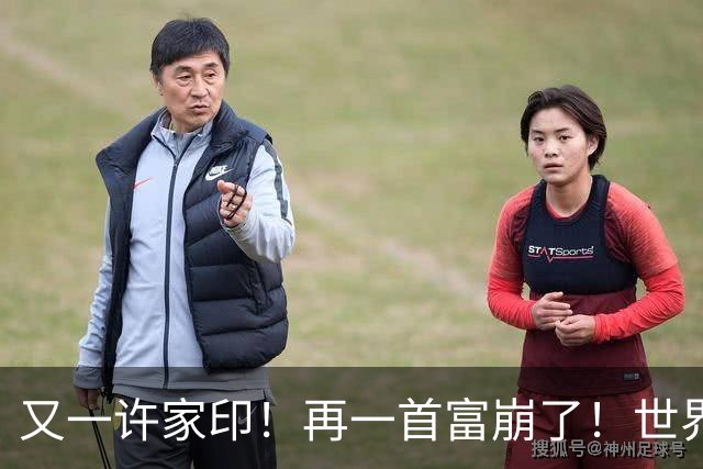 又一许家印！再一首富崩了！世界500强是骗来的，千亿帝国归零